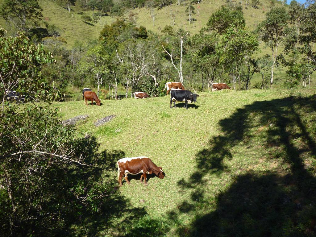 Apartamento Ferias Fazenda Usina 1 Bocaina de Minas Εξωτερικό φωτογραφία