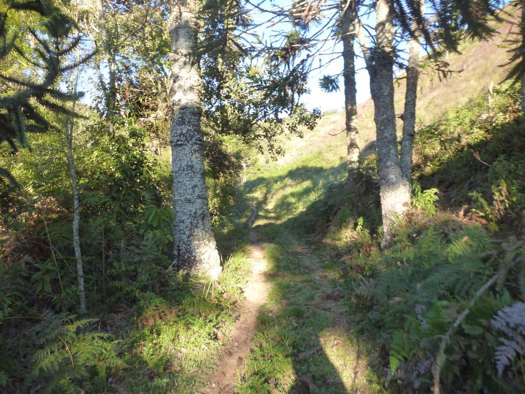 Apartamento Ferias Fazenda Usina 1 Bocaina de Minas Εξωτερικό φωτογραφία