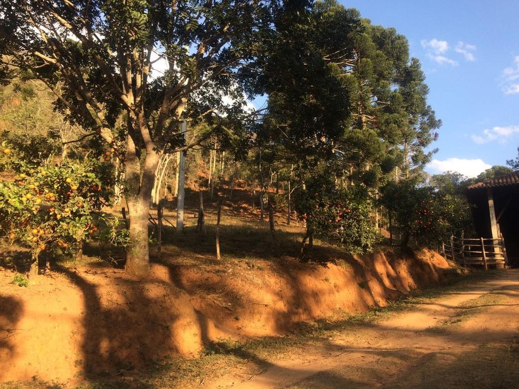 Apartamento Ferias Fazenda Usina 1 Bocaina de Minas Εξωτερικό φωτογραφία