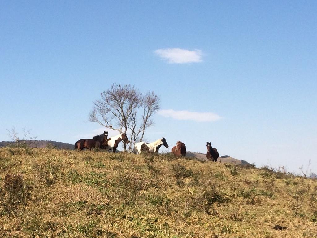 Apartamento Ferias Fazenda Usina 1 Bocaina de Minas Εξωτερικό φωτογραφία