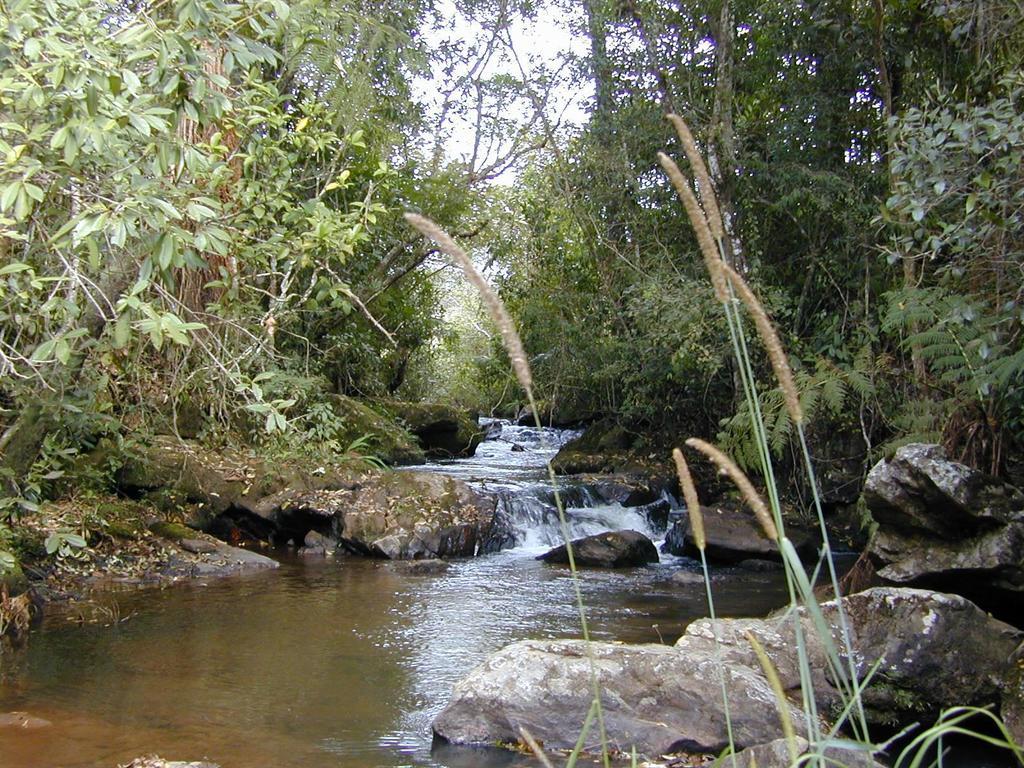 Apartamento Ferias Fazenda Usina 1 Bocaina de Minas Εξωτερικό φωτογραφία