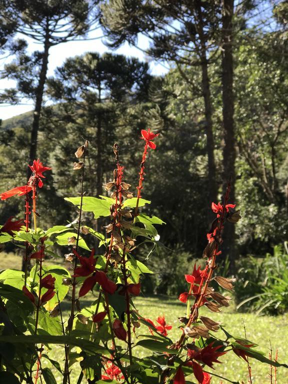 Apartamento Ferias Fazenda Usina 1 Bocaina de Minas Εξωτερικό φωτογραφία