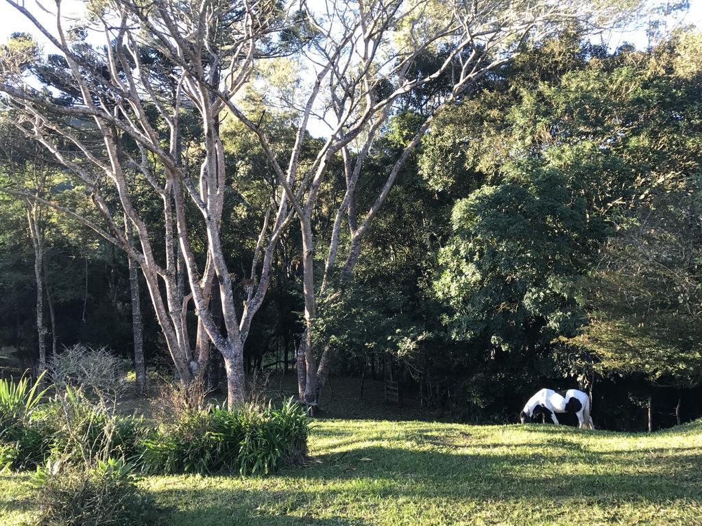 Apartamento Ferias Fazenda Usina 1 Bocaina de Minas Εξωτερικό φωτογραφία